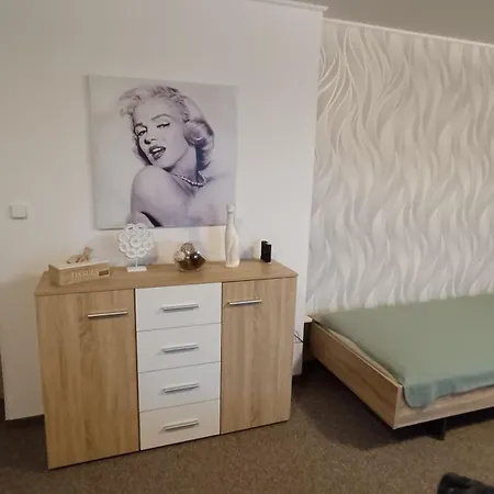 Apartmán Svítkov 79