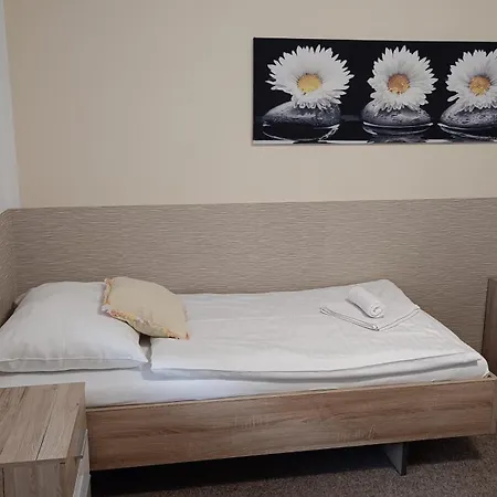 Svítkov 79 Apartmán *
