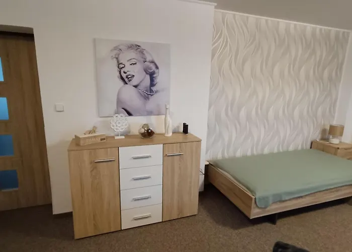Apartamento Svítkov 79