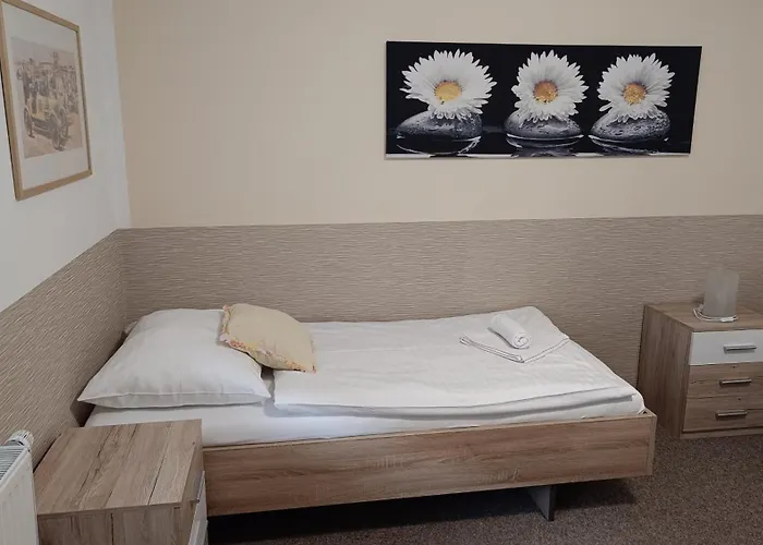 Svítkov 79 Apartamento *